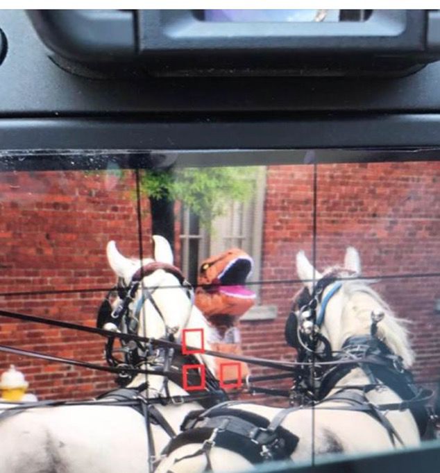 T.rex scares carriage horses