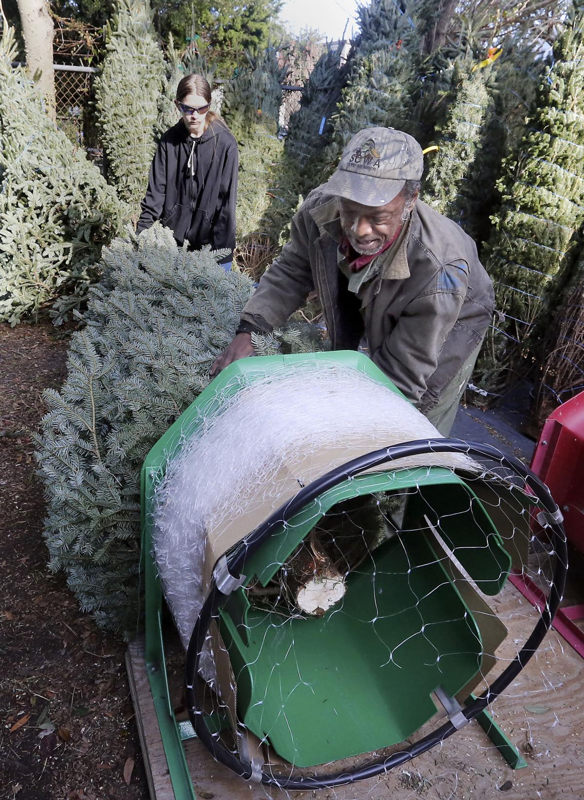 Christmas Trees Expected To Cost A Little More This Year Across Sc Business Postandcourier Com