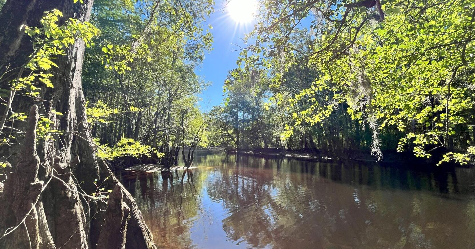 I-73 to Myrtle Beach would harm pristine Little Pee Dee | Editorials - Vimarsana News