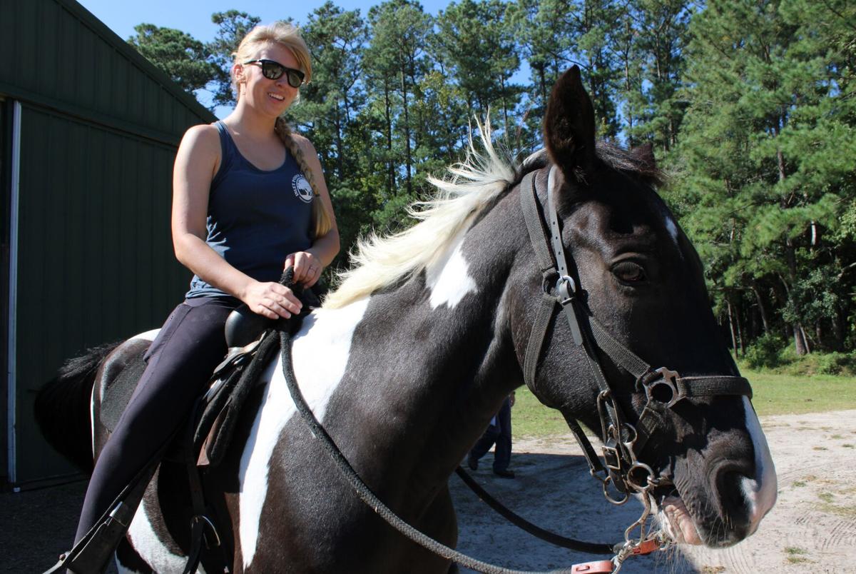 Horse riding : passion and sport Horse Pilot