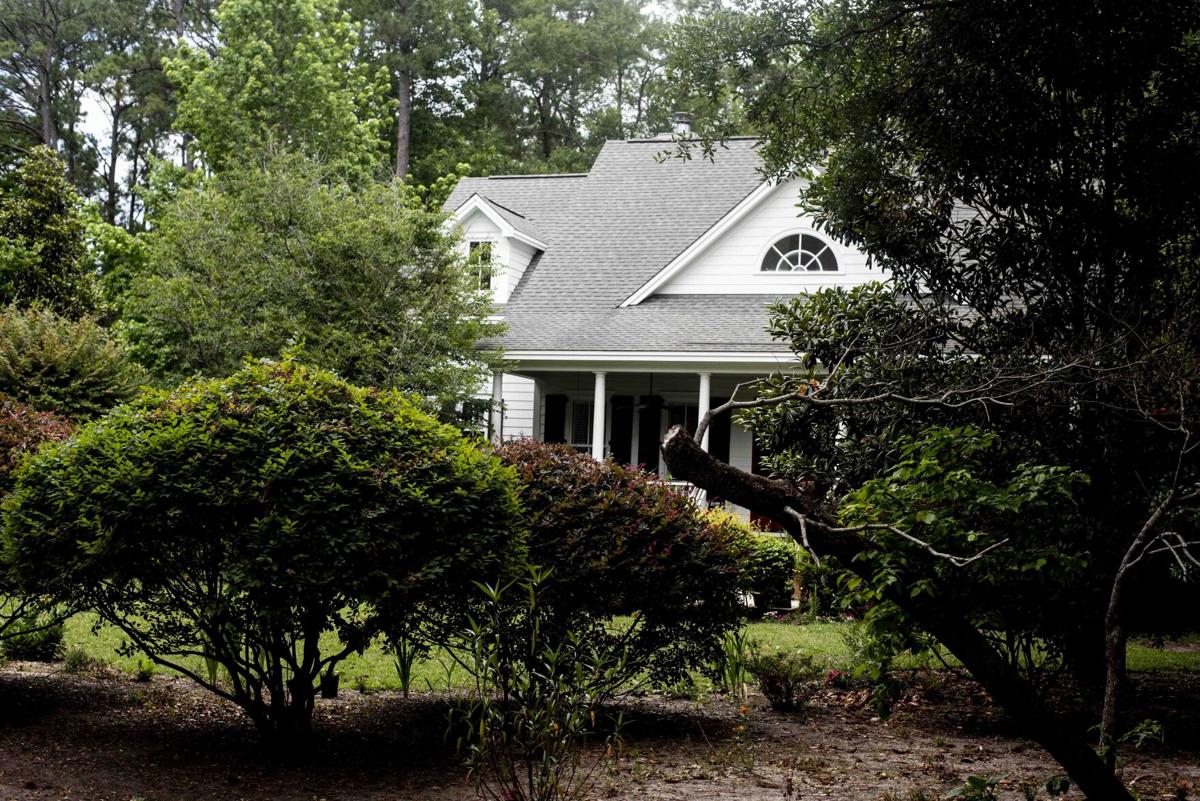 Wedgefield Plantation