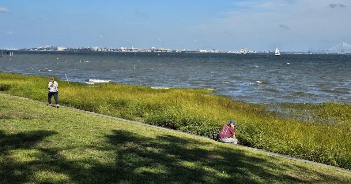 Improve park access, physical activity vital, education an opportunity | Letters