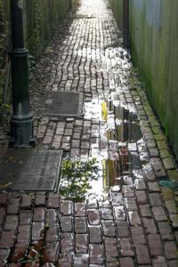 Richard-Hernandez Alley.jpg (copy)