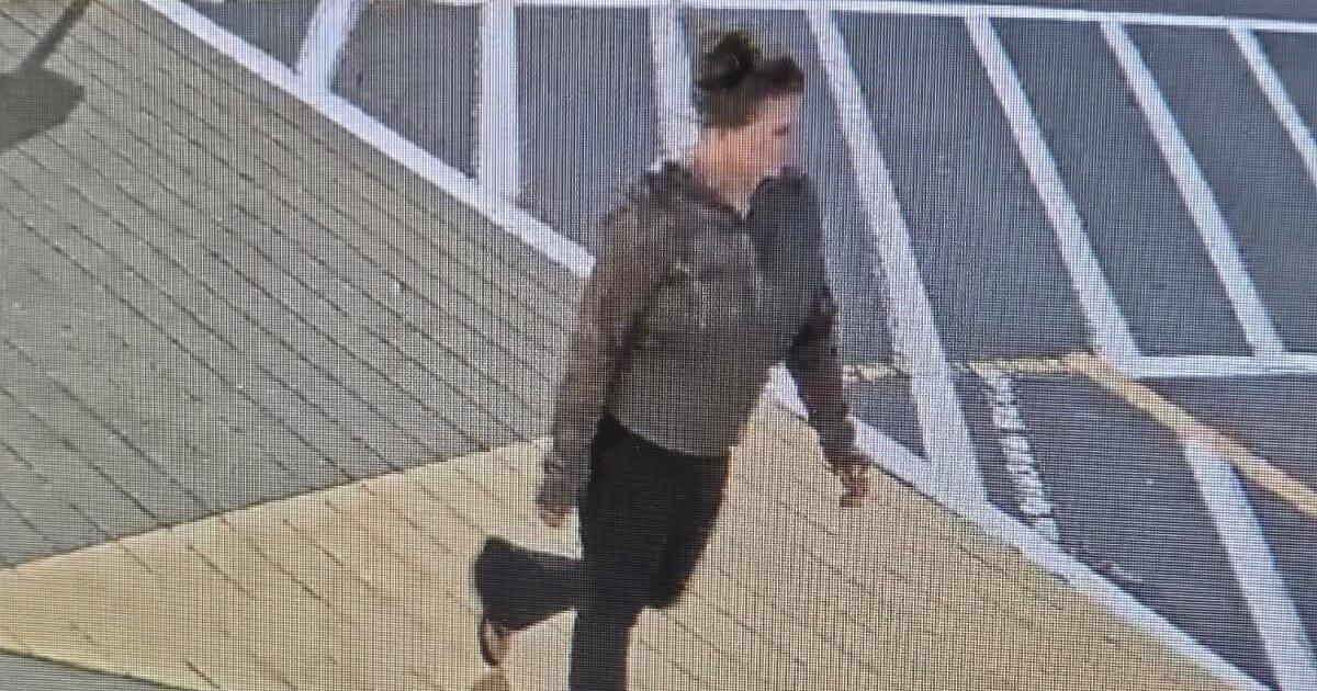 Elena Moore tragedy in SC points to gaps in search protocols for missing adults, experts say