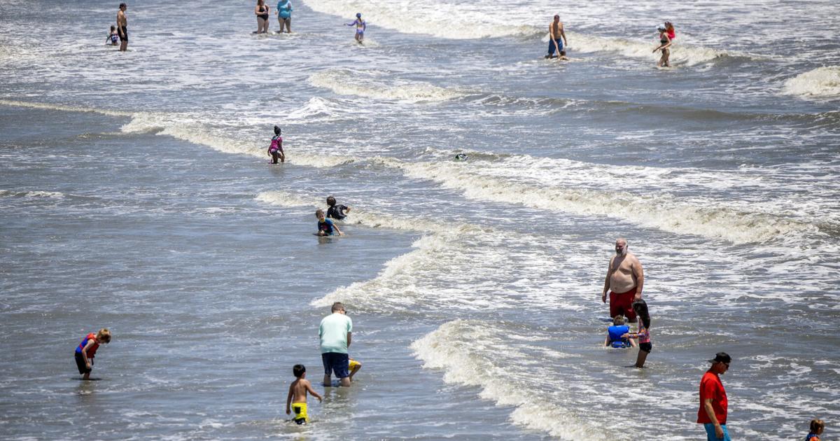 Going to the beach in SC? Have you checked the Enterococci bacteria levels ...