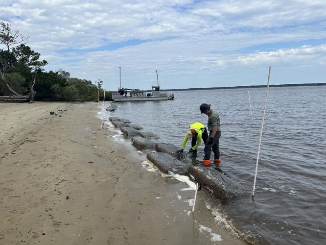 Living shoreline project fights erosion at park News