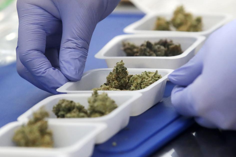 While marijuana remains illegal in SC, MUSC will research cancer patients about marijuana use |  Cheers
