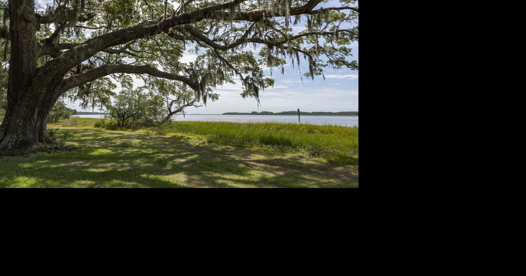 Dill Sanctuary to be protected from development. Charleston Housing Authority hires CEO.