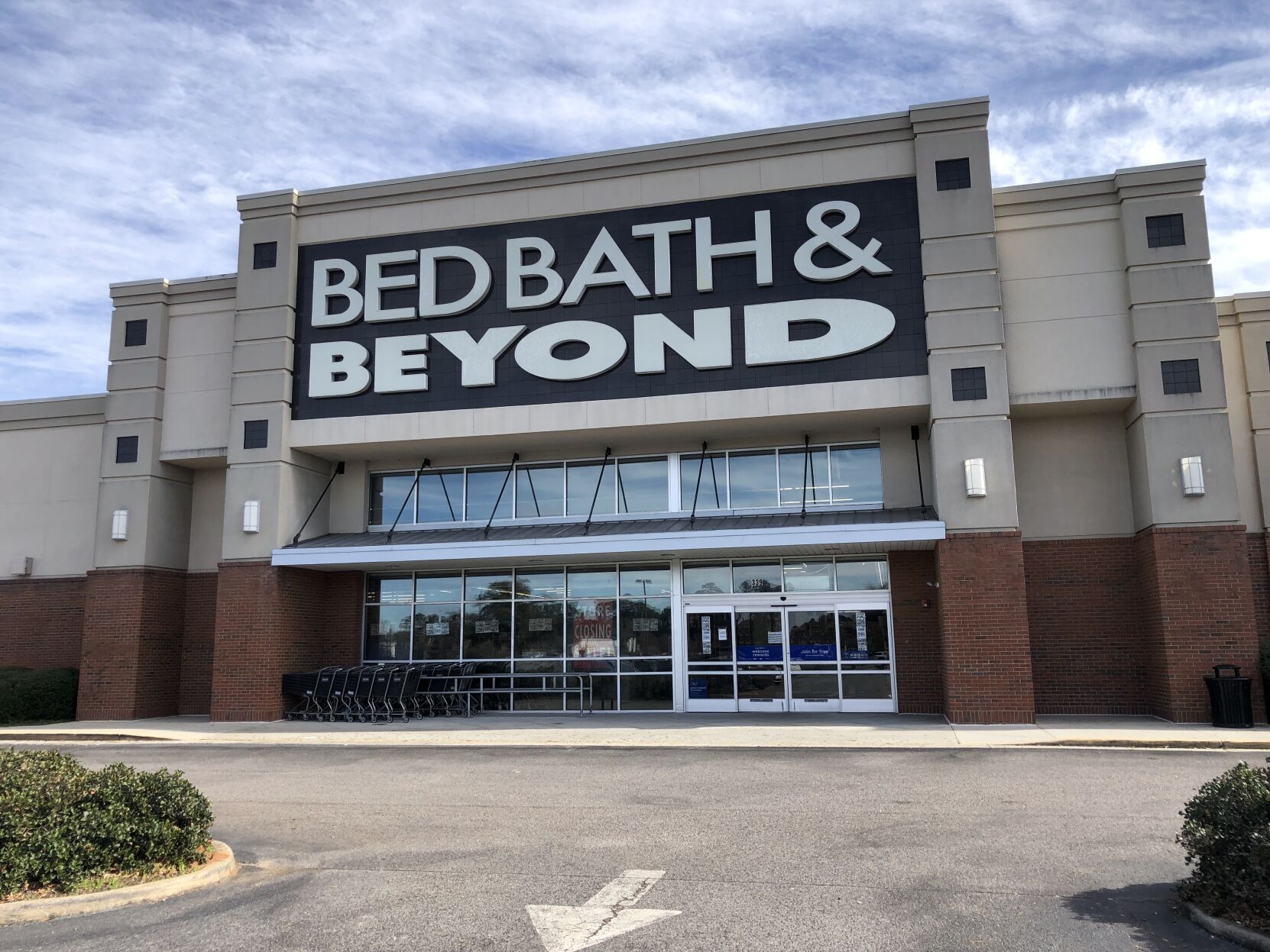 Bed bath and beyond dr sales scholls