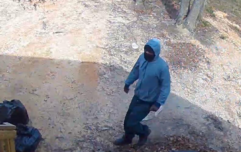 Deputies seeking to identify suspect in North Augusta burglary