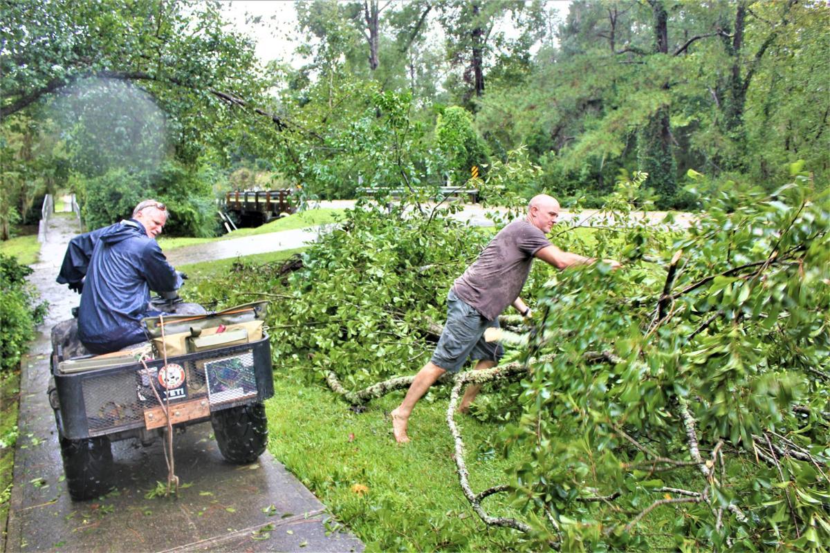 Dorian damages downs trees, powerlines throughout area