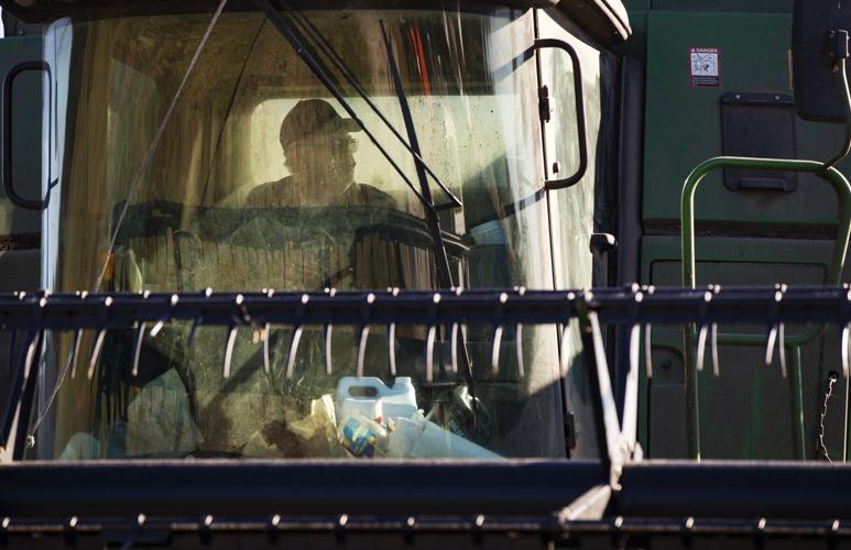 Photos: A day harvesting soybeans on Rizer Farms