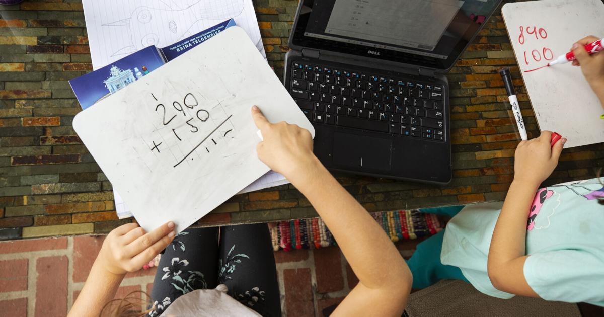 Free, virtual tutoring available to SC students for 3 more years