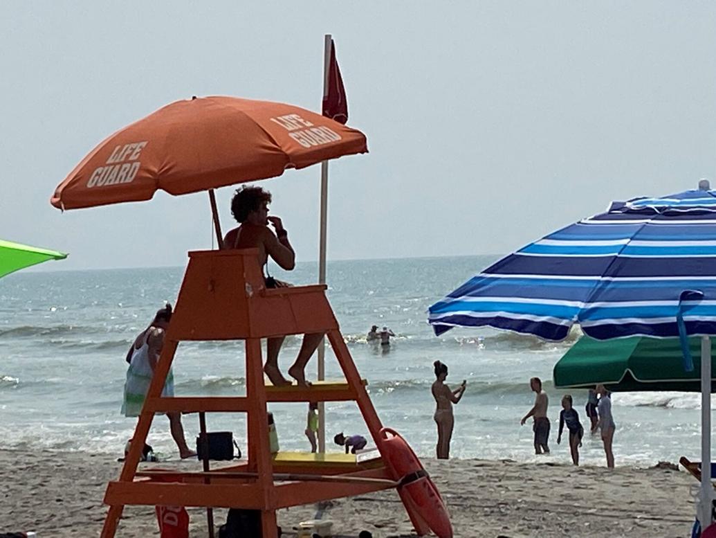 Shark attacks lifeguard on Hilton Head Island National and World News