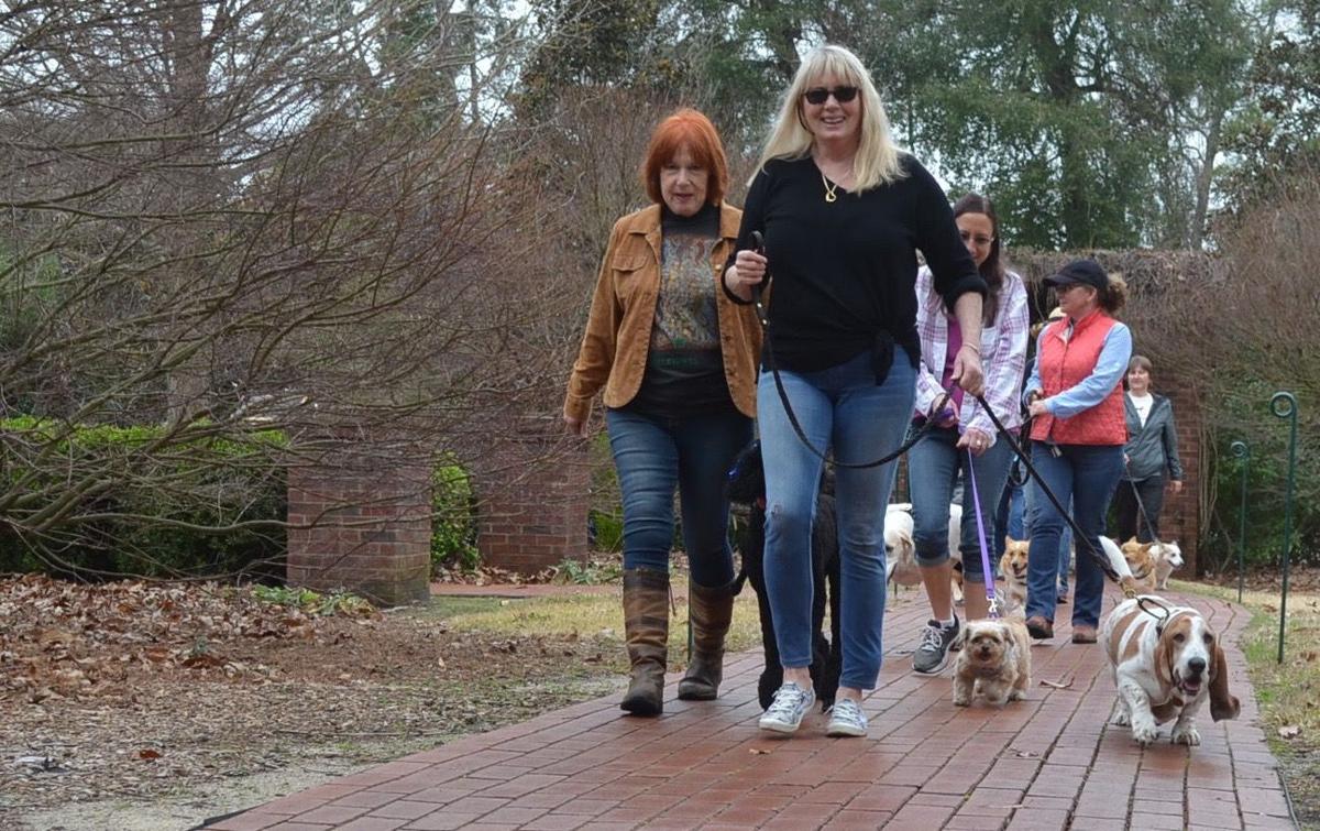 Aiken Dog Walks brings together pets and their owners Sunday Best