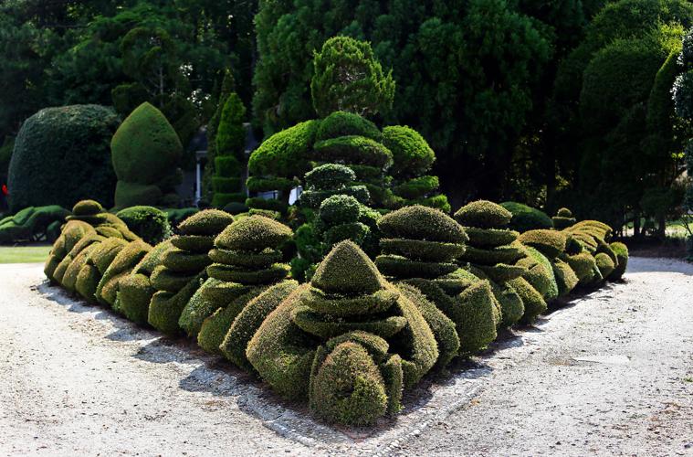 Pearl Fryar's Bishopville topiary garden