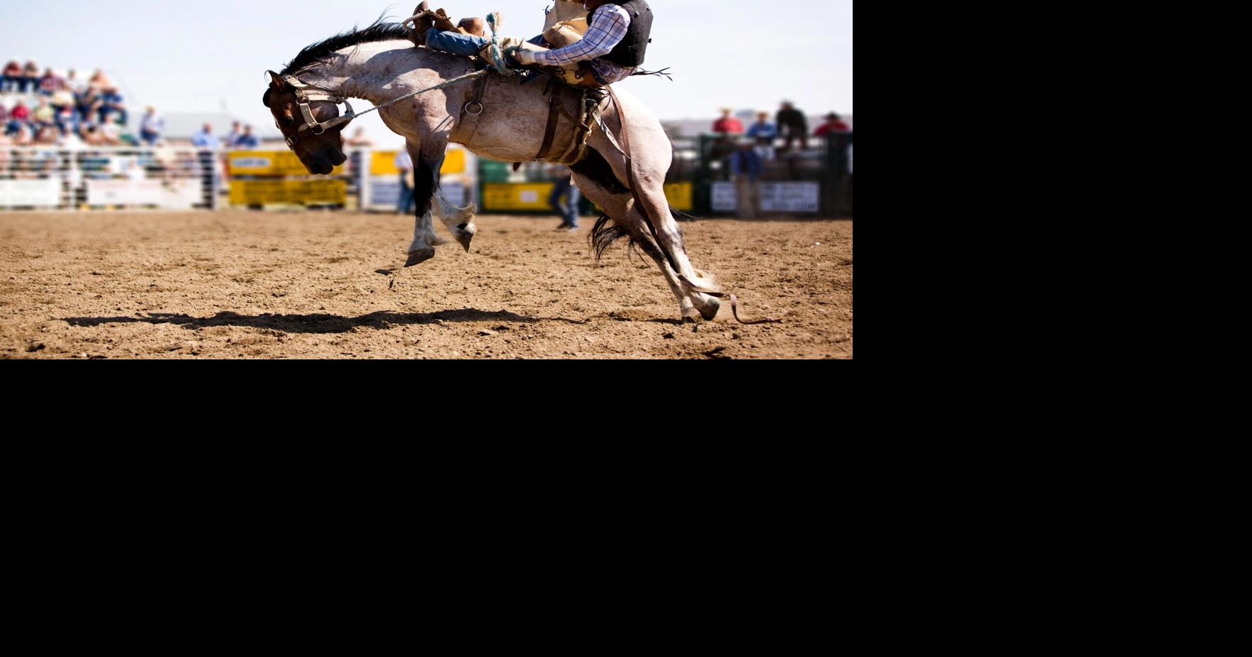Aiken fairgrounds to host professional rodeo