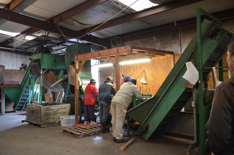 Ridge Spring pecan business still going under new management Food News