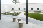 LiveOakMentalHealth001.JPG