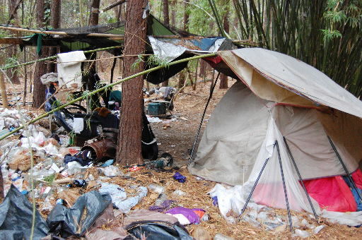 Squatters
