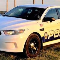 Boyfriend of off-duty Mount Pleasant cop dies after domestic shooting ...