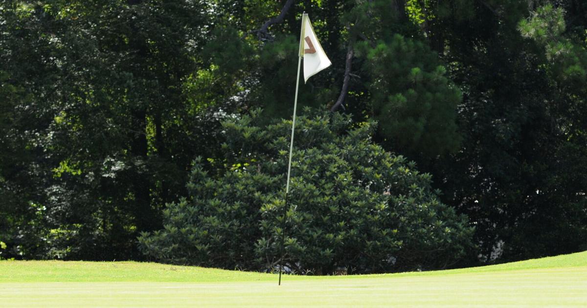 Sports Breifs: Baseball camp, Summer golf