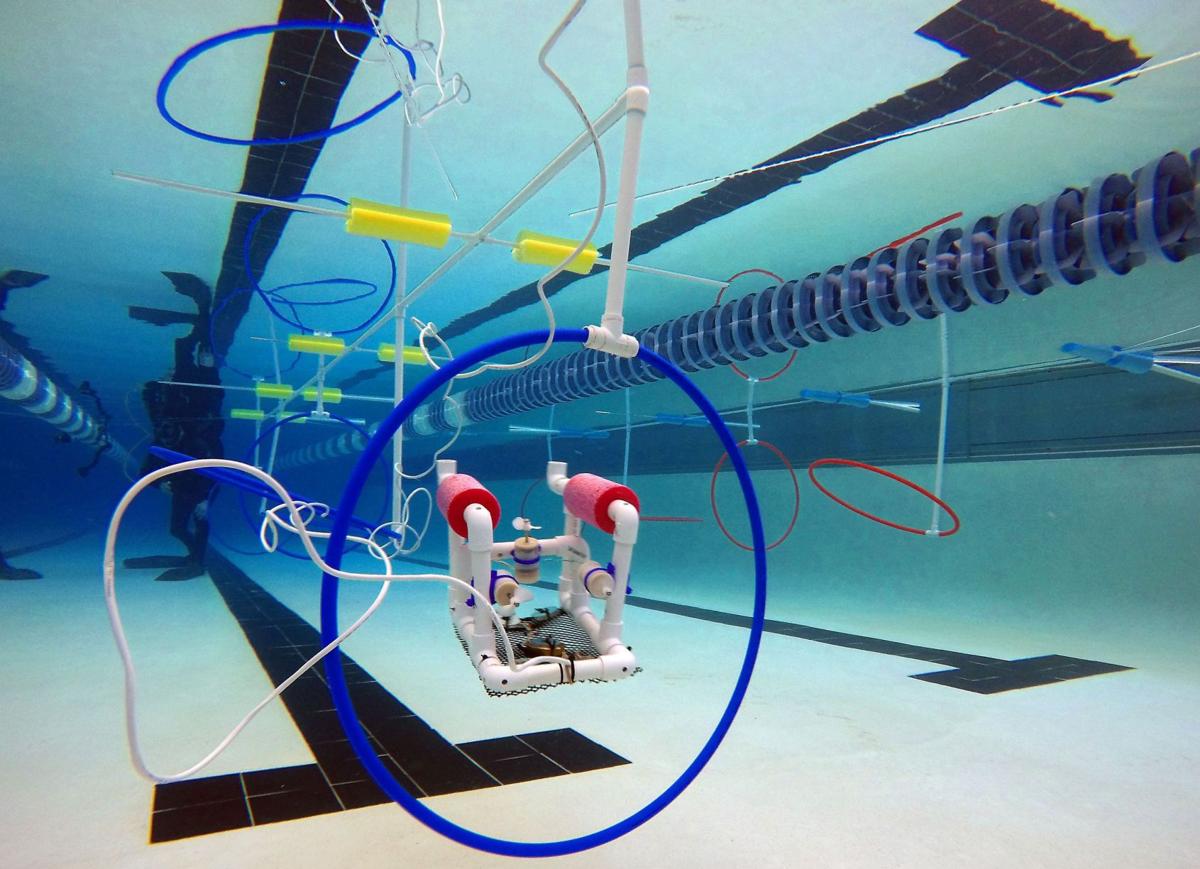 Underwater Robots