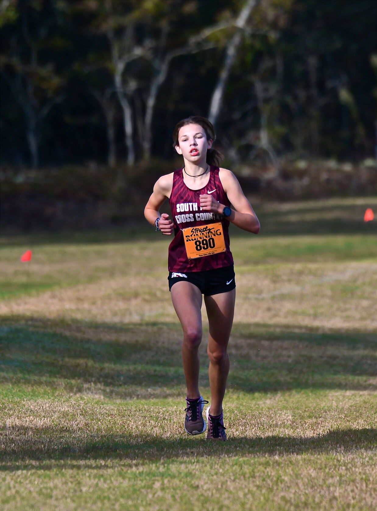 Area runners qualify for state cross country meets
