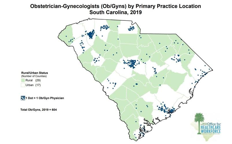 Abortion debate draws attention to severe shortage of OB-GYNs in SC's ...