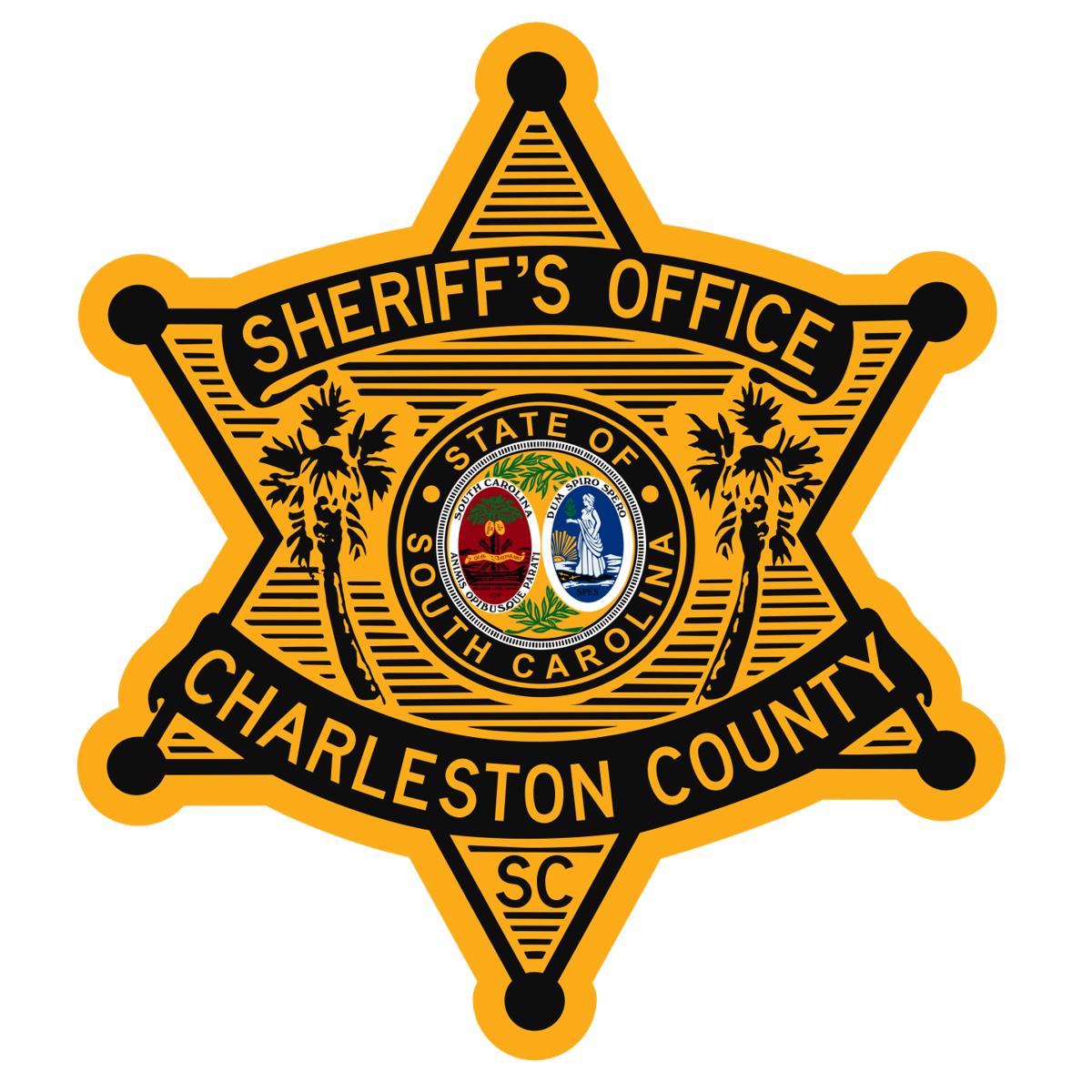 Charleston County deputy reprimanded for speeding News
