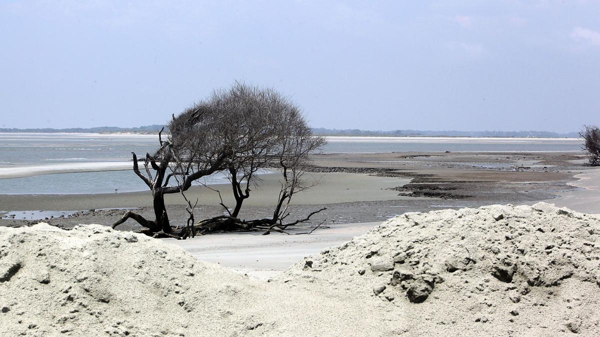 Folly Beach County Park