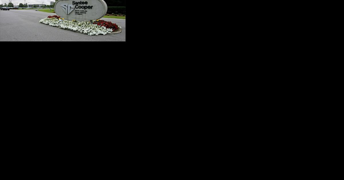 SC lawmakers start vetting candidates for Santee Cooper board seats