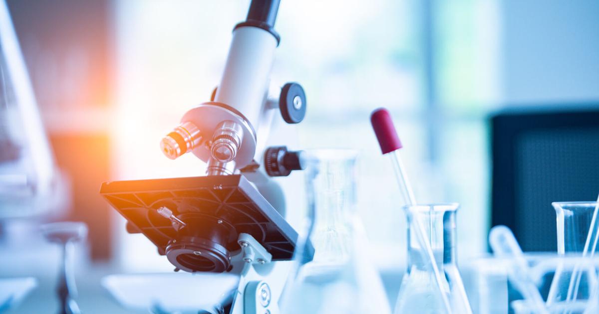 Protect research, SC corruption | Letters