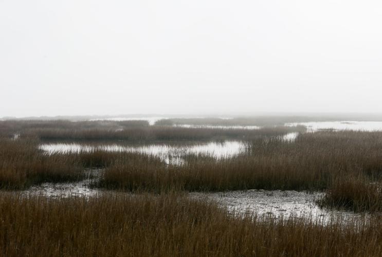 Fog envelops Lowcountry Tuesday | Multimedia | postandcourier.com