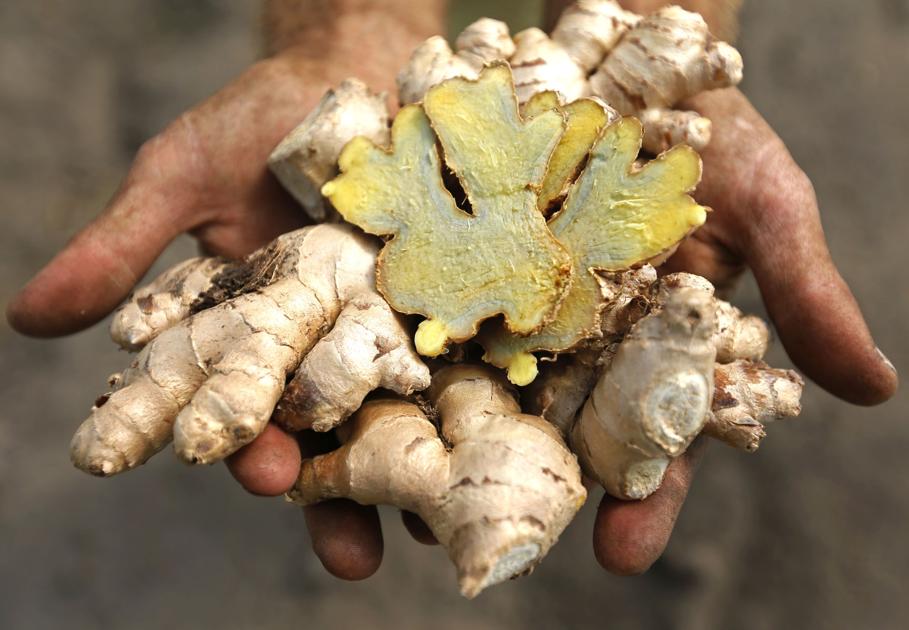 Local Chefs Happy About Blue Ginger Trendlines Postandcourier Com