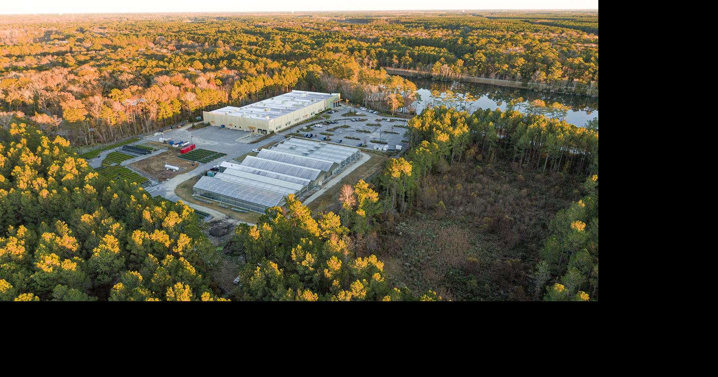 SC's mystery data center project could get big power deal