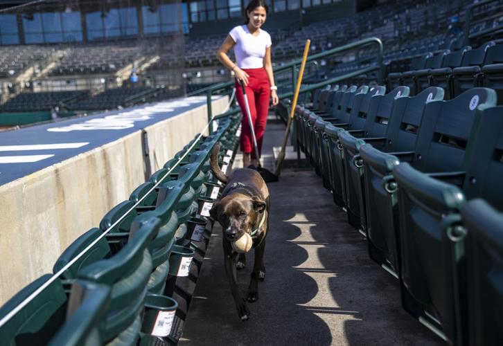 2020 Bark in the Park Major League Baseball Games