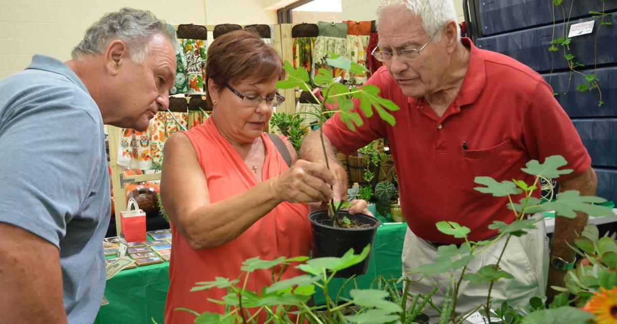 Aiken Standard’s Home and Garden Show offers something for everyone | Entertainment