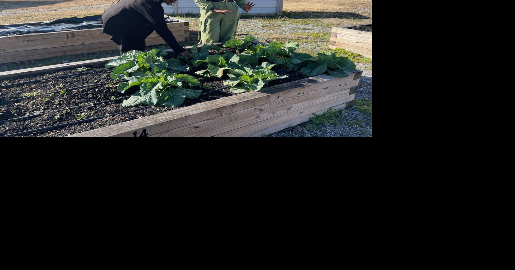 Farming for the future: Students at SC school learn growing techniques at community garden