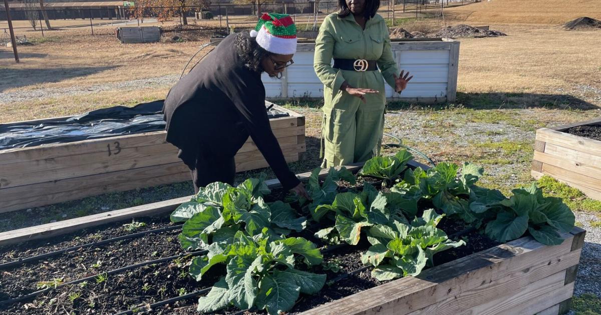Farming for the future: Students at SC school learn growing techniques at community garden