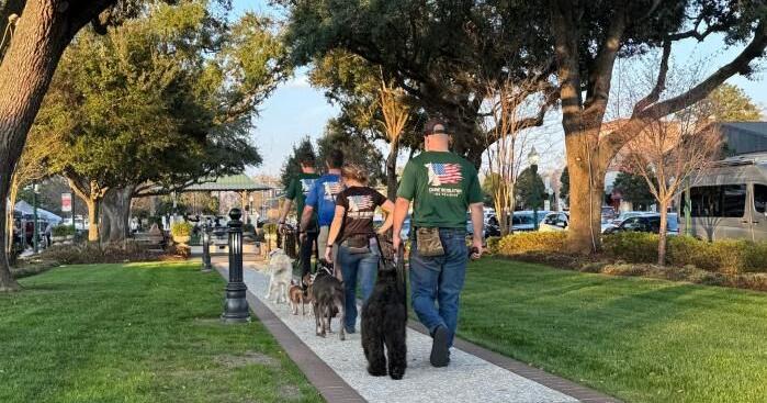 Canine Revolution Dog Training: A Lowcountry Academy Built On Patience and Team Expertise