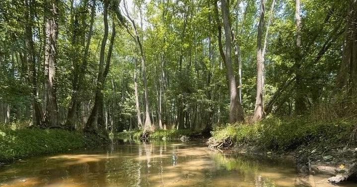 A South Carolina river has some of the worst 'forever chemical' contamination in the nation