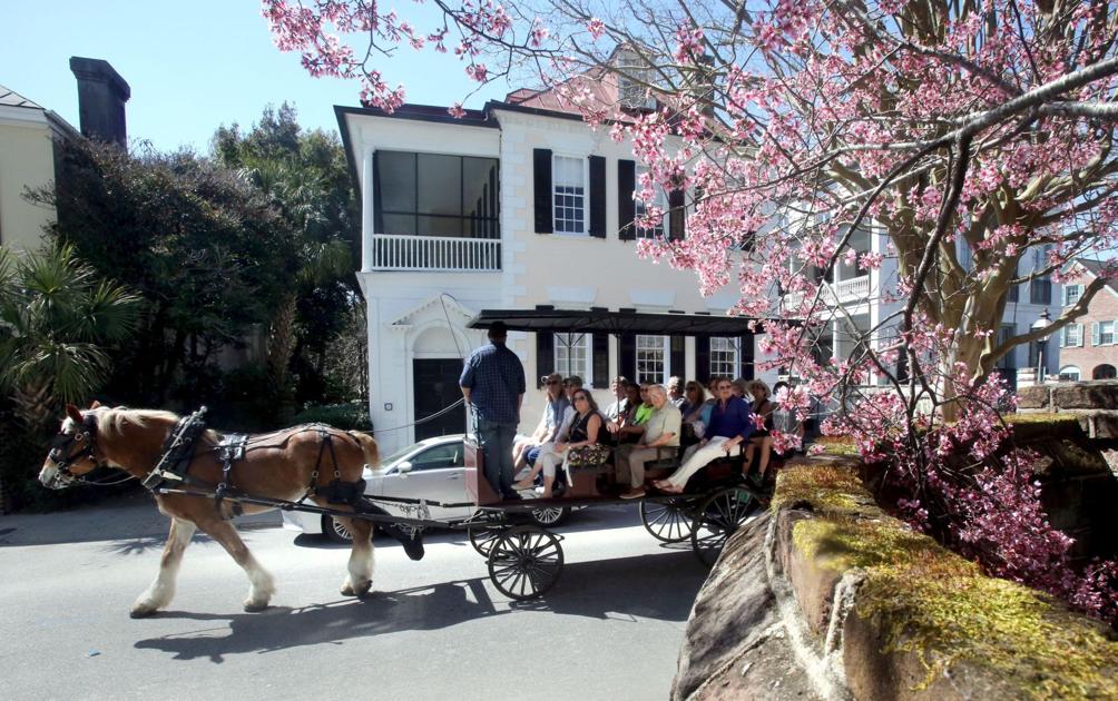 Charleston City Council Lowers Heat Limits For Carriage