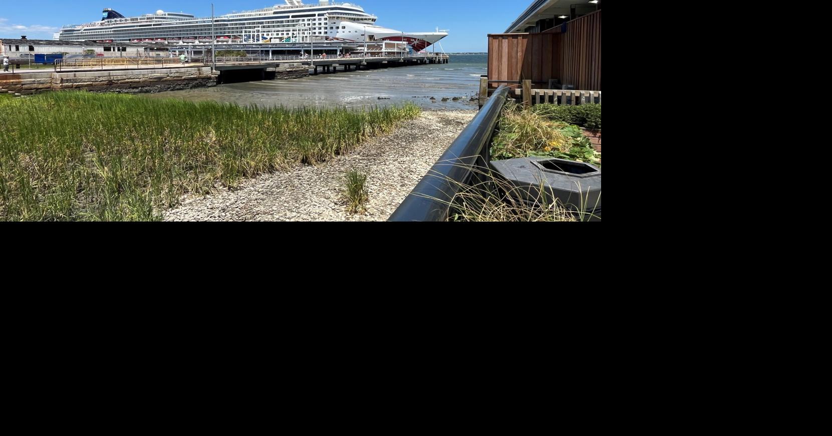 Hicks: Cruise ships have a promising — and familiar — ‘future' in North Charleston