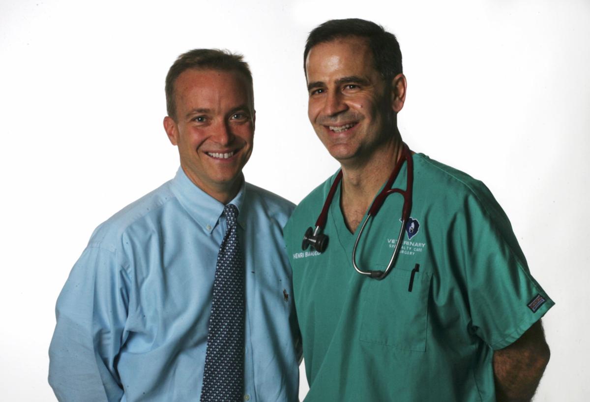 elevated liver enzymes in dogs