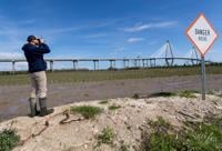 Charleston SC island restoration shows signs of life for bird rookery