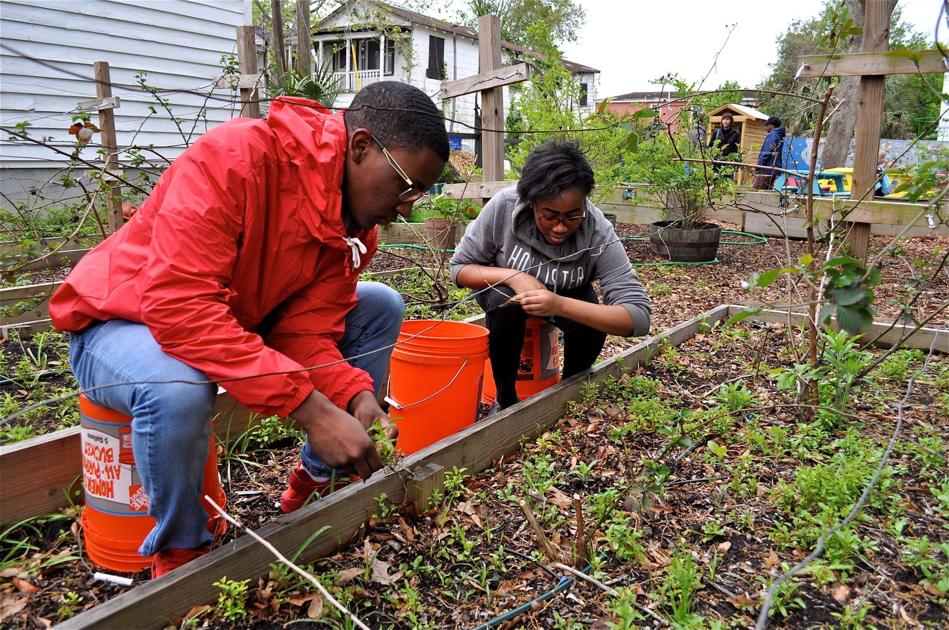 From blighted lot to a flourishing garden, public invited to celebrate a Charleston transformation