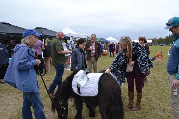 Aiken Fall Steeplechase returns with costumes, hats and horses Aiken