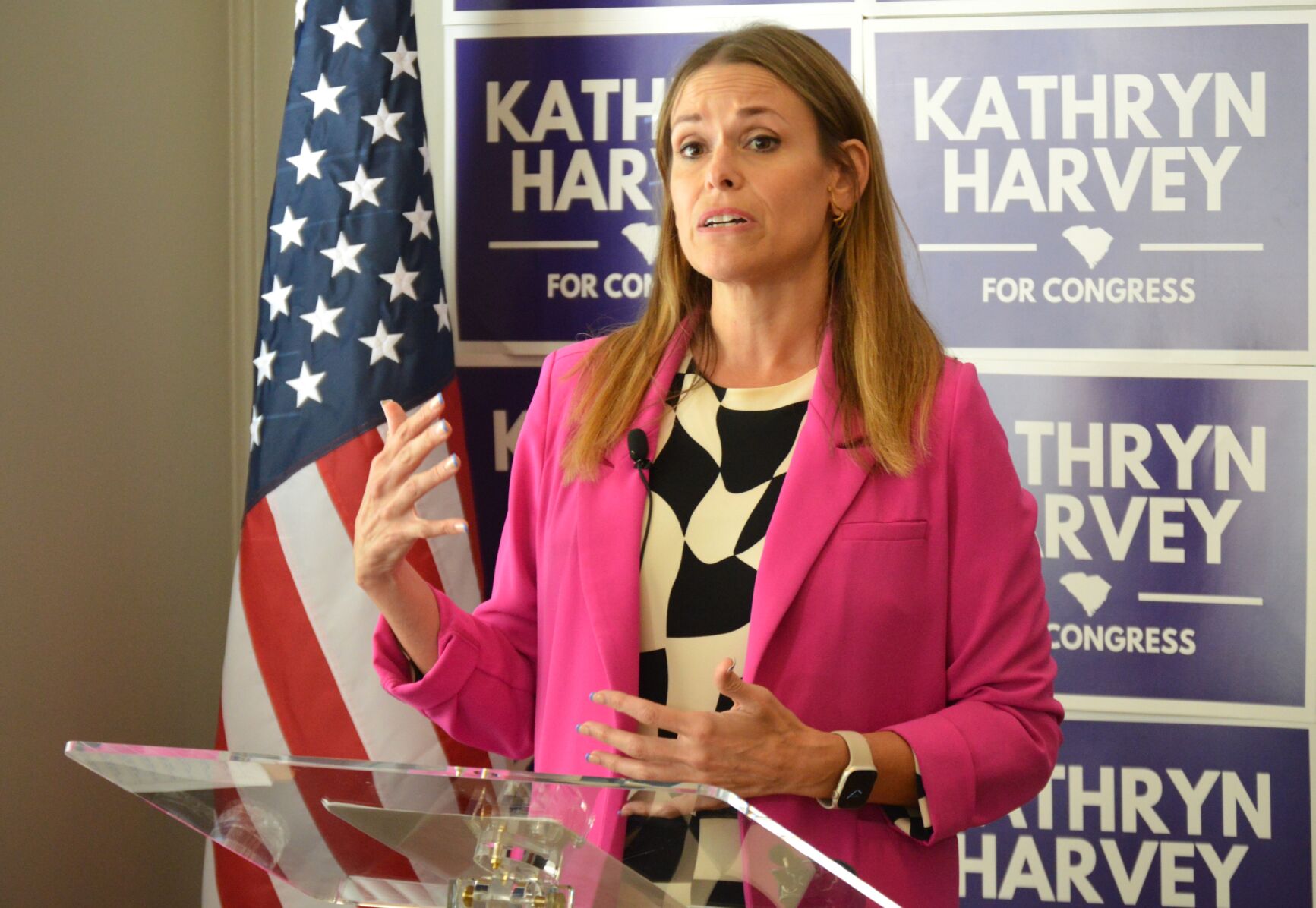 Democrat Kathryn Harvey's impossible task: beating Timmons