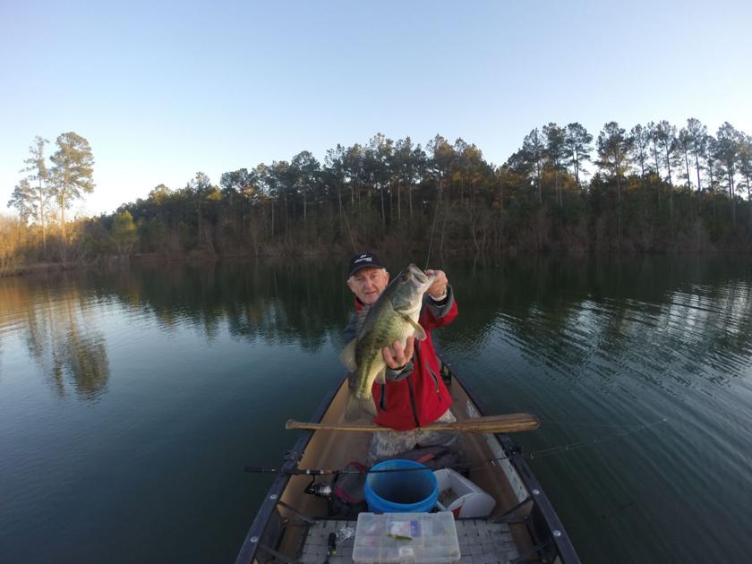 Brush Piles An Investment Yielding In Fishing Success Sports Postandcourier Com
